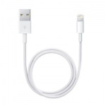 Obrzok produktu Apple Lightning to USB Cable (0, 5m)
