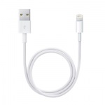 Obrzok produktu Lightning to USB Cable 0, 5M