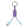 BELKIN Clip USB - Lightning - F8J173bt06INPUR | obrzok .3