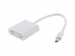 Obrzok produktu 4World Adaptr mini DP M - DVI-I 24+5 F White