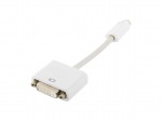 Obrzok produktu 4World Adaptr mini DVI M - DVI-I 24+5 F White