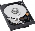 Obrzok produktu WD AV-GP WD5000AURX 500GB HDD 3, 5" pro AV,  SATA / 600, IntelliPower,  64MB cache