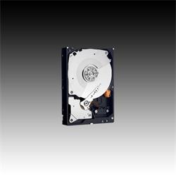 Obrzok HDD 500GB WD5003ABYZ RE 64MB SATAIII 7.2k RAID 5RZ - WD5003ABYZ