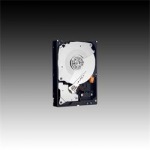 Obrzok produktu HDD 500GB WD5003ABYZ RE 64MB SATAIII 7.2k RAID 5RZ