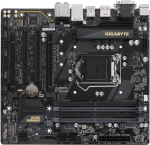 Obrzok GIGABYTE B250M-D3H (rev. 1.0) - GA-B250M-D3H