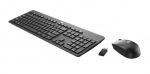 Obrzok produktu HP Wireless Slim Business Keyboard & Mouse ENG