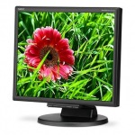 Obrzok produktu NEC MultiSync E171M, 17" LED DVI VGA