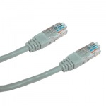 Obrzok produktu Patch cord UTP CAT6 0, 25m ed