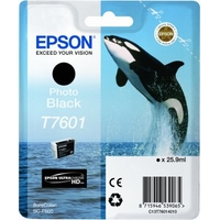 Obrzok Epson T7601 Ink Cartridge Photo Black - C13T76014010