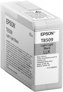 Obrzok Epson Singlepack Photo Light Light Black T850900 UltraChrome HD ink 80ml - C13T850900