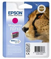 Obrzok Epson DURABrite T0713 - C13T07134011