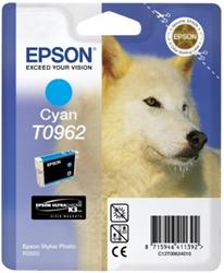 Obrzok Epson UltraCHROME T0962 - C13T09624010