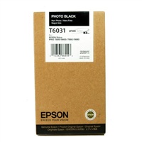 Obrzok Epson T603, foto ierna  - C13T603100