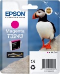 Obrzok produktu EPSON T3243 Magenta
