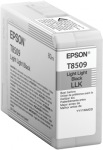 Obrzok produktu Epson Singlepack Photo Light Light Black T850900 UltraChrome HD ink 80ml