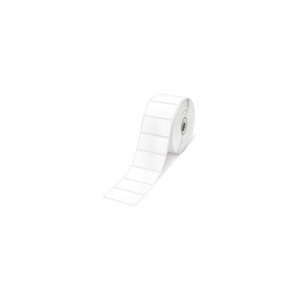 Obrzok PE Matte Label Die-cut Roll: 102mmx76mm - C33S045548