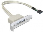 Obrzok produktu Delock zadn panel USB 2.0 x2 low profile