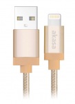 Obrzok produktu AKASA  - USB 2.0 typ C na typ A kabel - 1 m